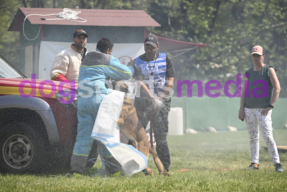 Preview _JRI_19302.jpg